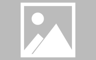 涿州网页设计师周记（网页设计周记26篇300字）