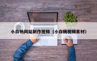 涿州小白杨网站制作视频（小白杨视频素材）