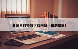 涿州白鹅素材特效下载网站（白鹅摄影）